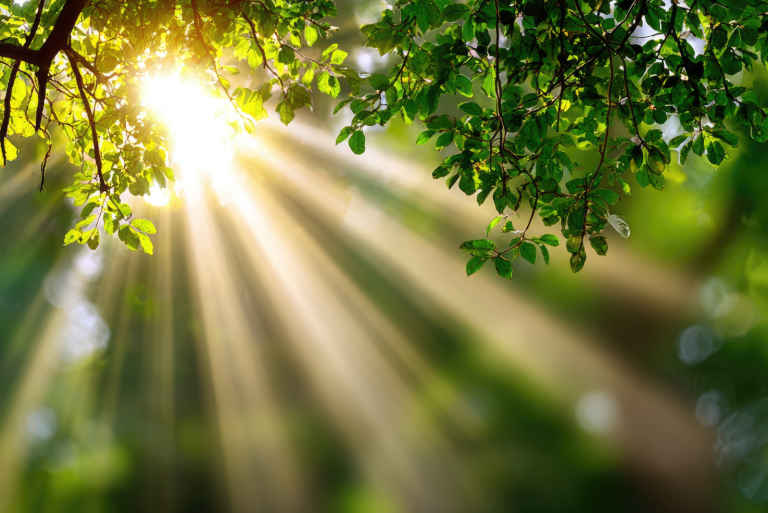 Immer im Blick Chancen & Potenziale