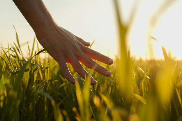 Immer in Bewegung Die Zukunft der Energie