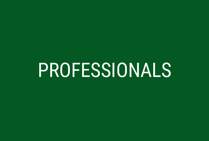 Professional